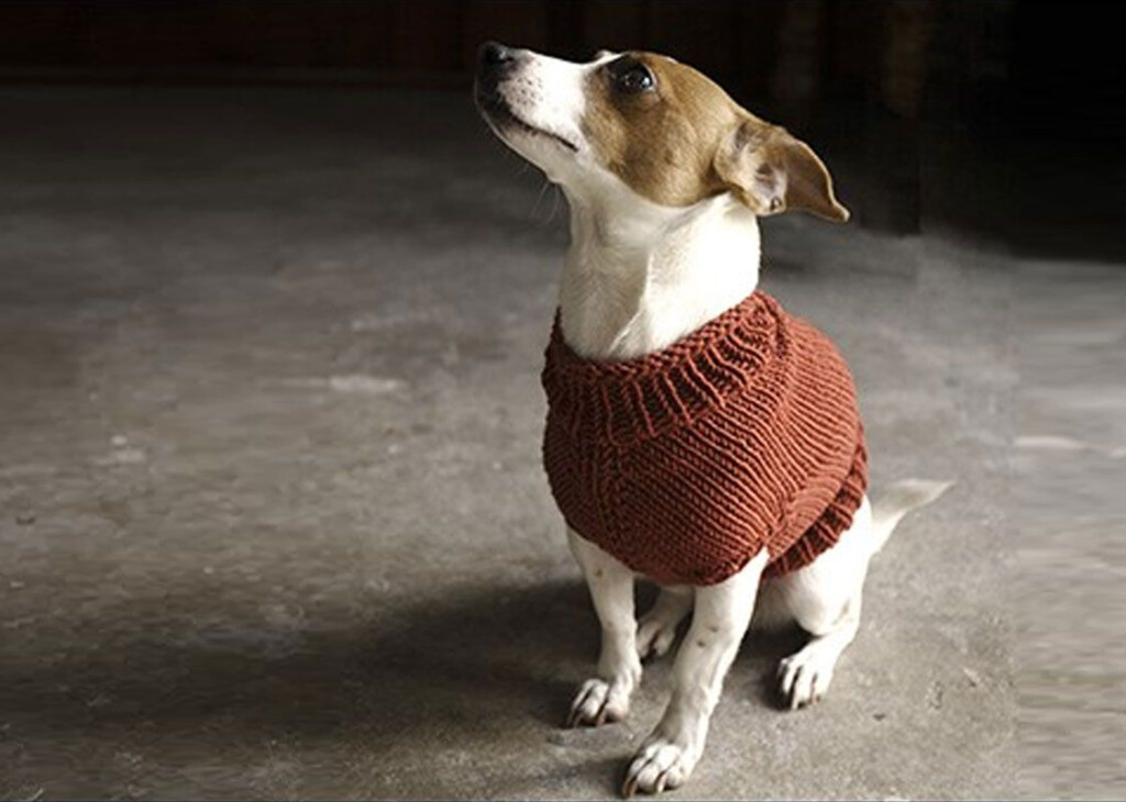 12 Dog Sweaters And Other Knitting Patterns For Pups