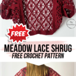 Crochet Meadow Lace Shrug Free Pattern Easy Crochet Shrug Crochet