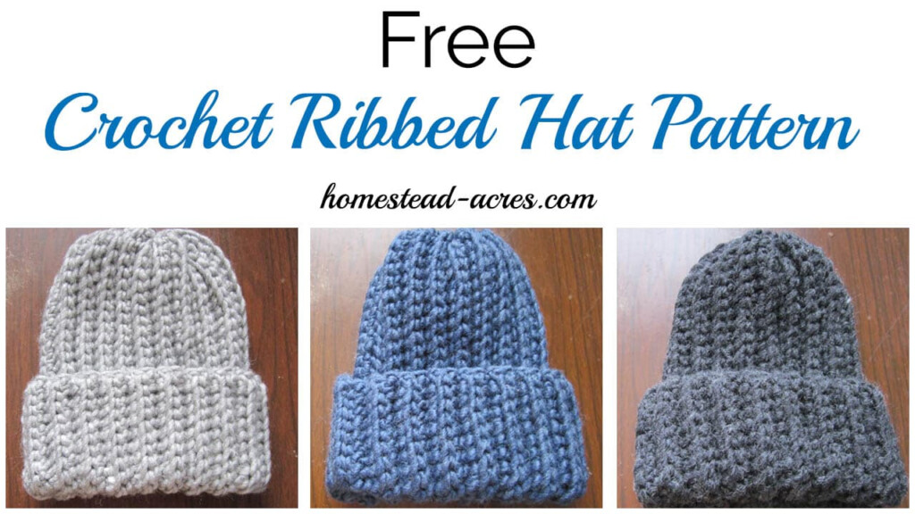 Crochet Ribbed Hat Pattern Homestead Acres