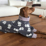 DOWNLOAD SEWING PATTERN Vizsla Pajamas Sizes Medium And Large