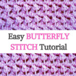 Easy BUTTERFLY STITCH Tutorial Butterfly Stitches Crochet