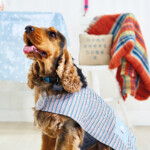 Easy Dog Coat Free Sewing Patterns Sew Magazine