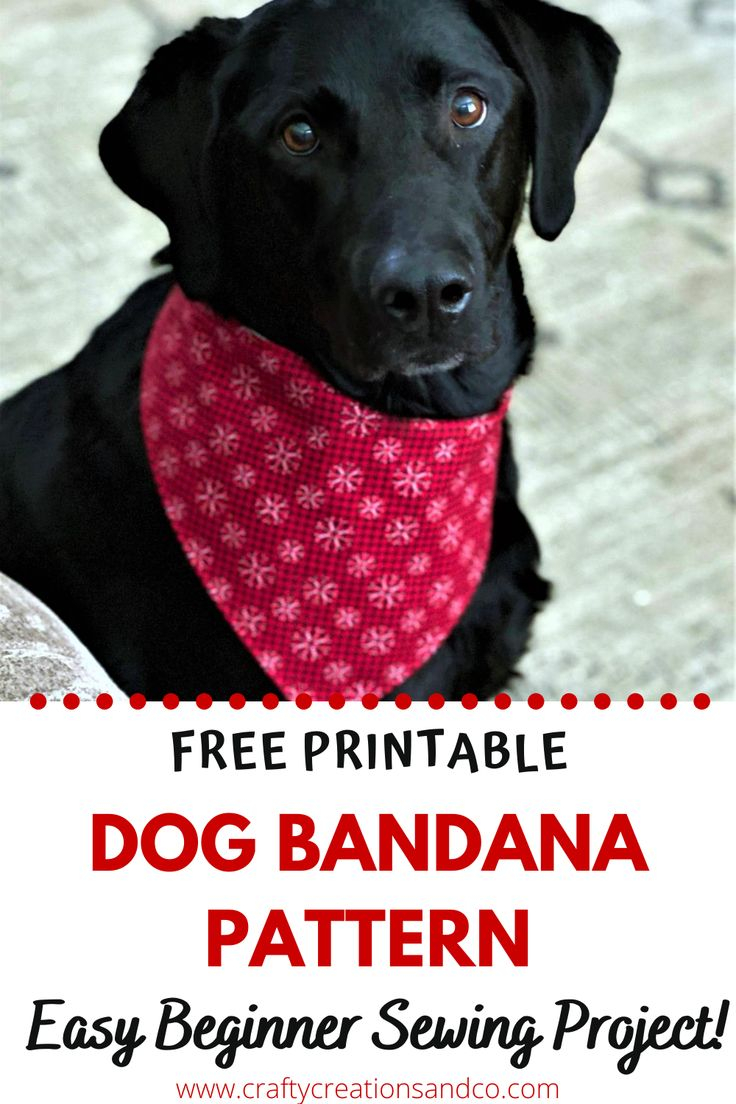 Free Printable Dog Bandana Pattern Easy Sewing Tutorial Dog Bandana