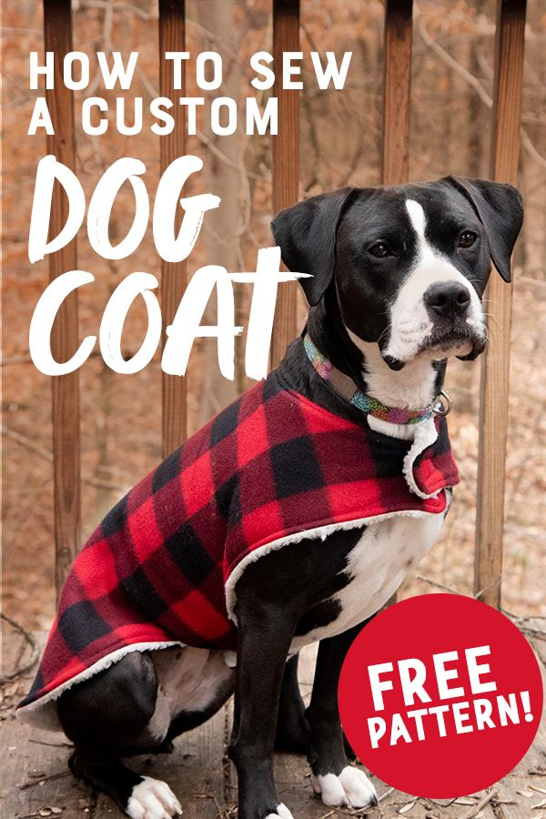 How To Sew A Cozy Custom Dog Coat In Less Than An Hour Custom Dog 