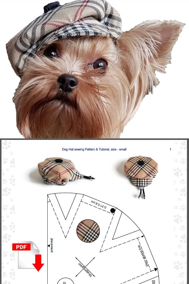 Small Dog Hat Pattern For Dog Pet Hat PDF Dog Hat Sewing Pdf Dog 